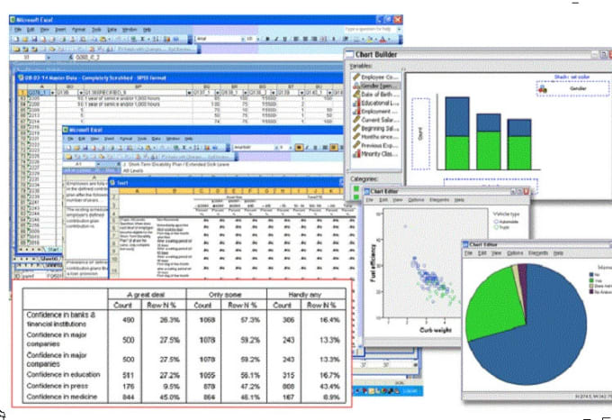 Gig Preview - Offer excellent spss statistical analysis services