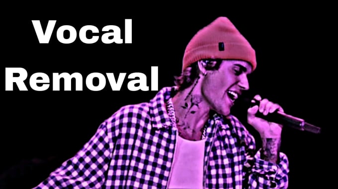 Gig Preview - Remove vocals from any song and make instrumental, karaoke