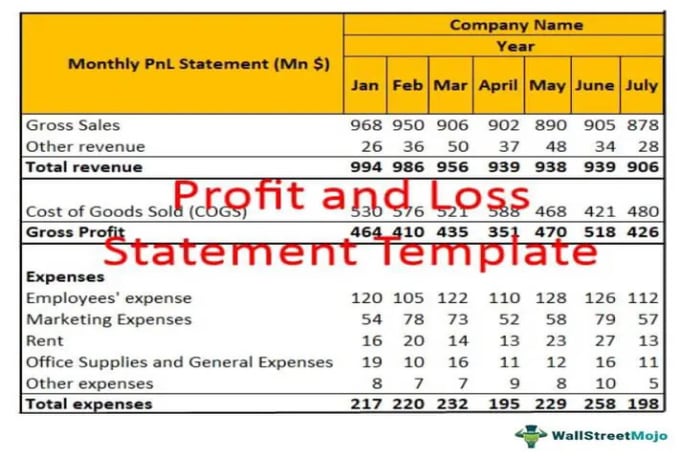 Gig Preview - Prepare a budget or forecast or projection for your company