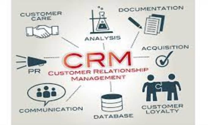 Gig Preview - Be your next CRM data management executive