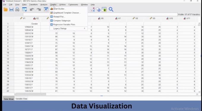 Gig Preview - Do medical research data analysis using spss