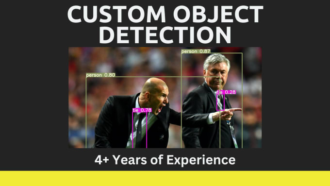 Gig Preview - Train a custom object detection model for you