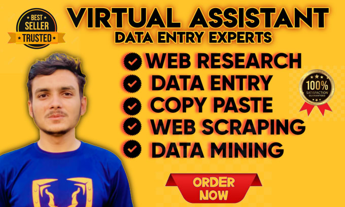 Gig Preview - Be your virtual assistant, web research and data entry excel