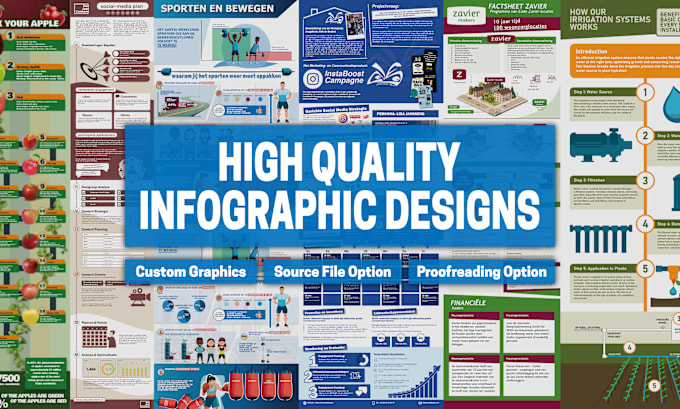 Gig Preview - Design your eye catching infographic, flow chart or diagram