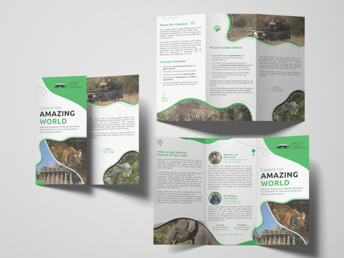 Gig Preview - Do professional brochure and trifold brochure design