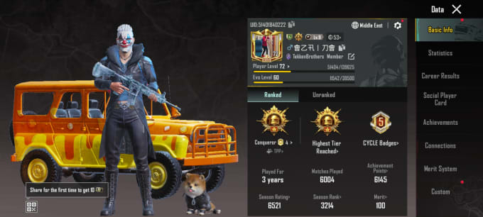 Gig Preview - Be your pubg mobile coach and push your rank for conqueror