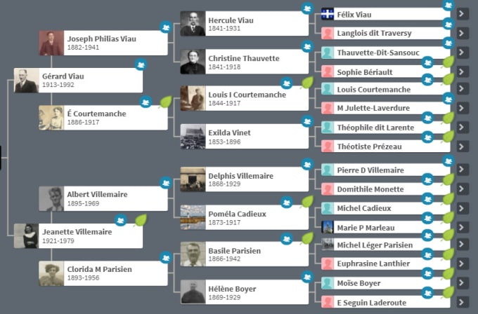 Gig Preview - Research your ancestry family tree