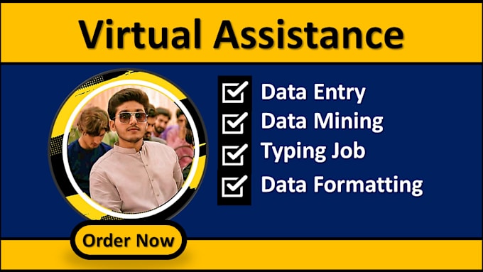 Gig Preview - Be your virtual assistance for data mining, data formatting and pdf to excel