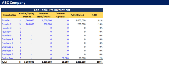 Gig Preview - Create cap table for your company