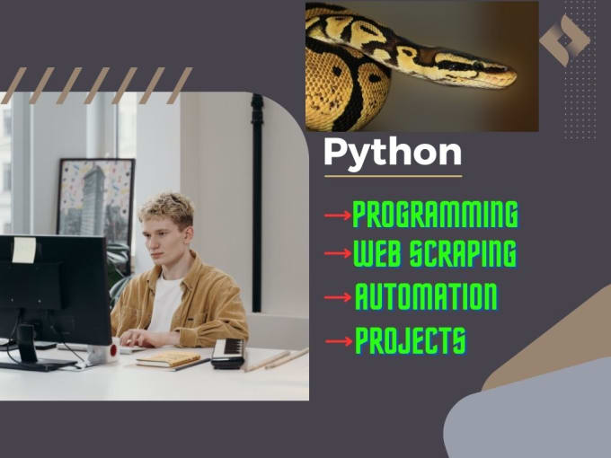 Gig Preview - Do python programs, projects, web scraping, app development