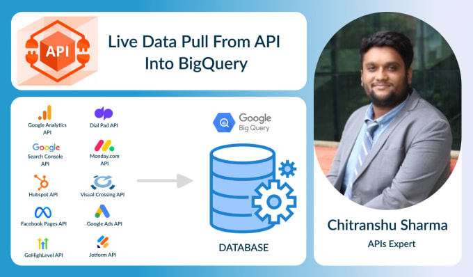 Gig Preview - Pull live data from apis into databases like bigquery