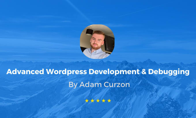 Gig Preview - Expertly develop and debug your wordpress website