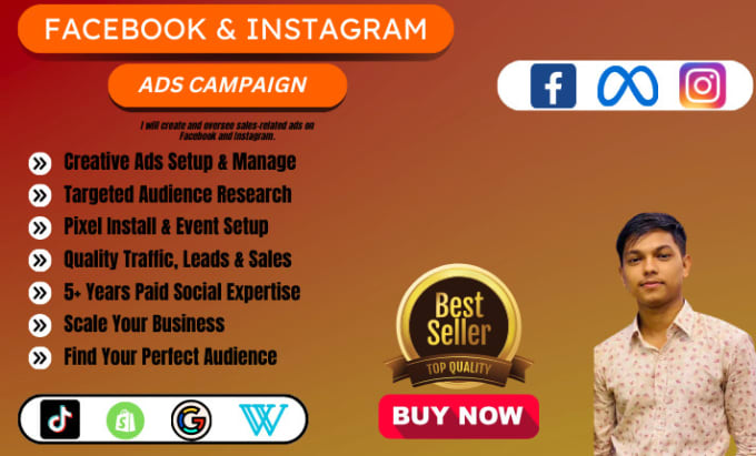 Gig Preview - Set up and manage ads for sales on facebook and instagram