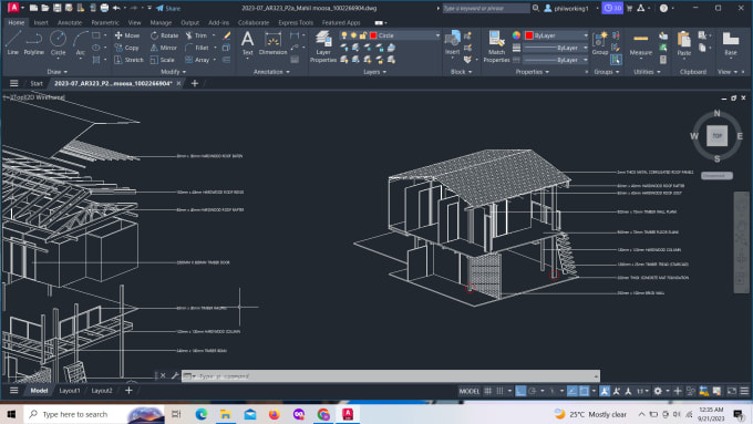 Gig Preview - Develop 2d and 3d images in autocad