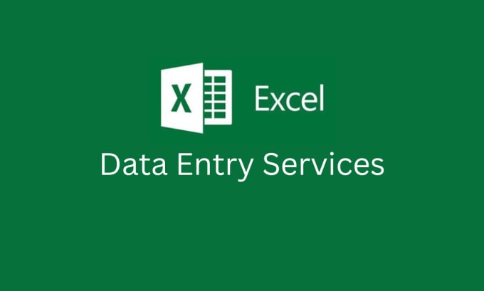 Gig Preview - Do excel data entry and web scraping