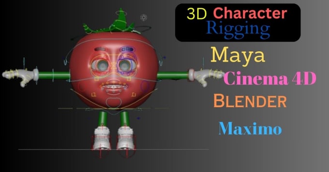 Gig Preview - Do 3d character rigging in blender, cinema, maya and mixamo