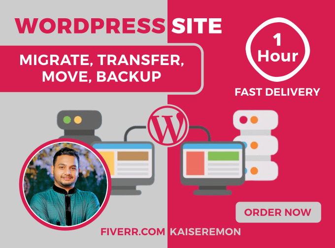 Gig Preview - Migrate wordpress website or transfer, backup within 1 hour