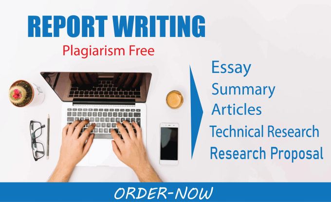 Gig Preview - Write reports, essays, research proposals and summaries projects