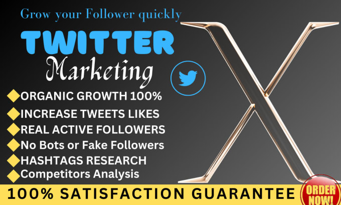 Gig Preview - Do organic x twitter marketing to growing follower quickly