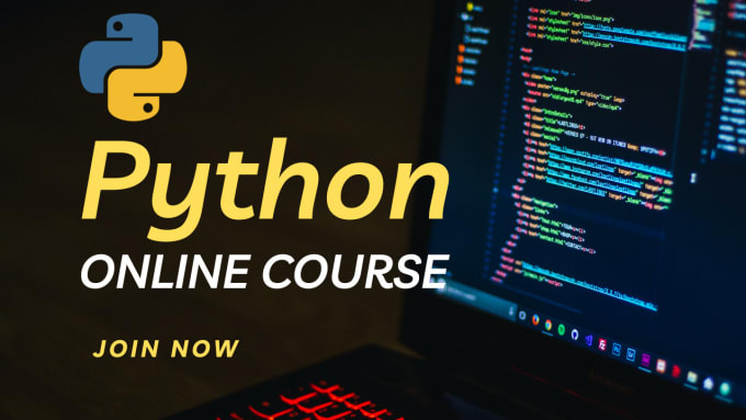 Gig Preview - Teach you python programming, beginner to professional