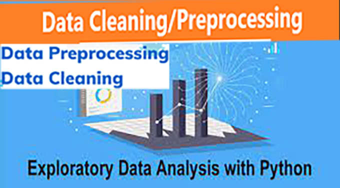 Gig Preview - Do data cleaning, data preprocessing and feature engineering