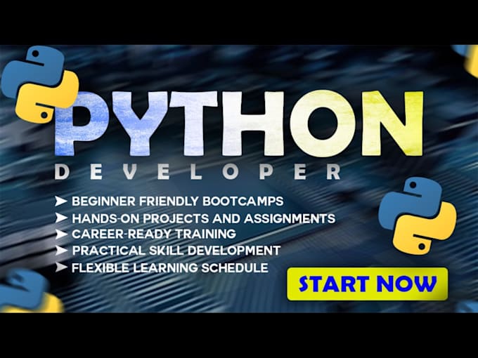 Gig Preview - Tutor python, sql, machine learning, data science