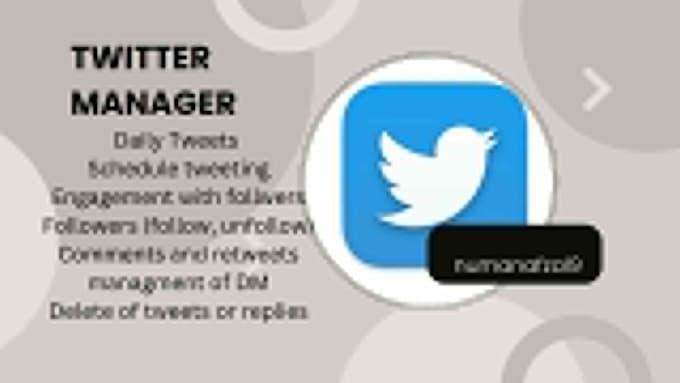 Gig Preview - Be your expert twitter manager