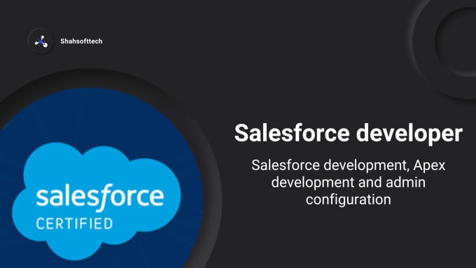 Gig Preview - Be your salesforce developer, admin, and consultant