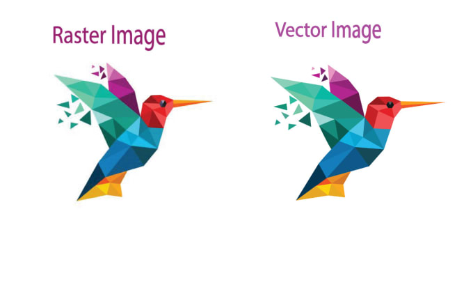 Gig Preview - Draw vector tracing images in 1 hour