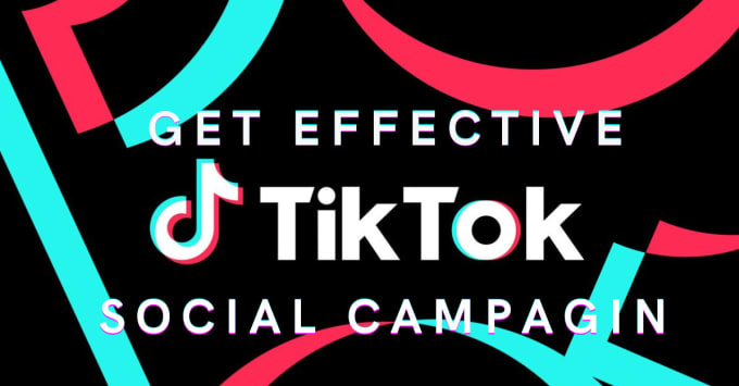 Gig Preview - Setup your tiktok ads campaigns