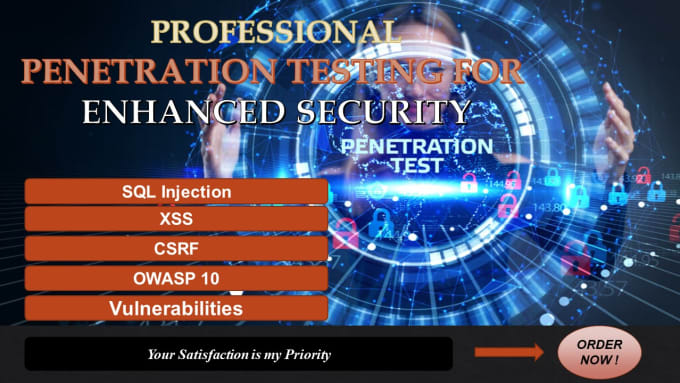 Gig Preview - Perform penetration testing on your website and be secure