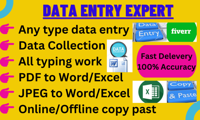 Gig Preview - Do accurate data entry, copy paste, typing work job