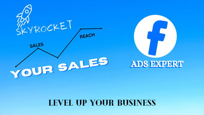 Gig Preview - Setup, create and run facebook ads campaigns and do fb marketing