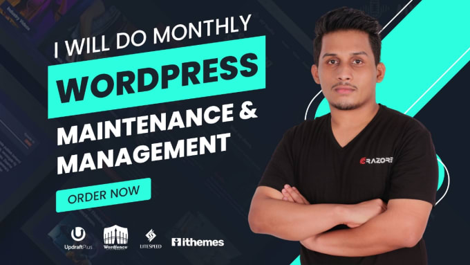 Gig Preview - Do monthly wordpress maintenance and management