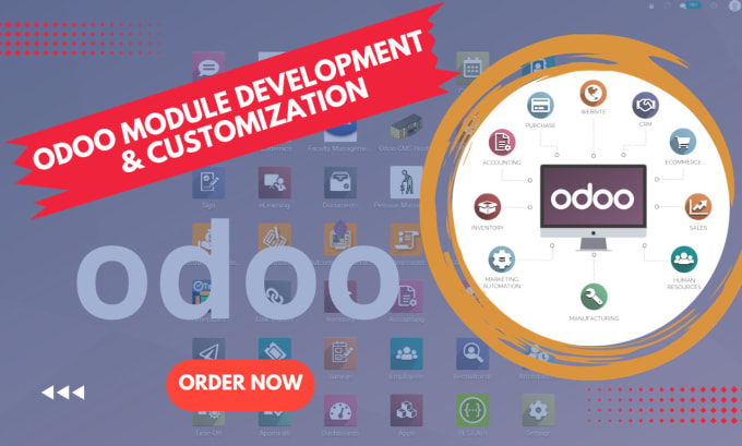 Gig Preview - Do professional odoo development and customization services