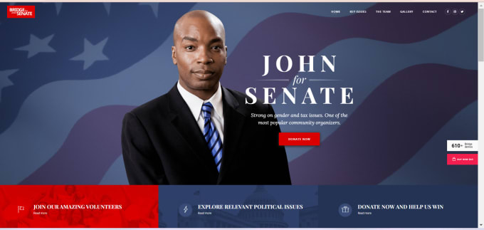 Gig Preview - Design political campaign website, political campaign, wordpress website