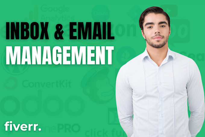 Gig Preview - Organize and manage your email inbox