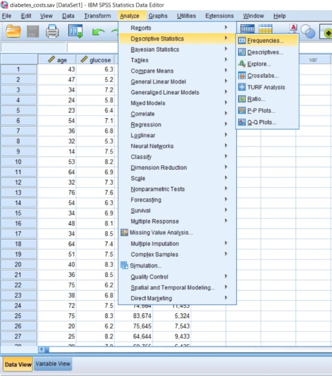 Gig Preview - Do data analysis using spss and excel