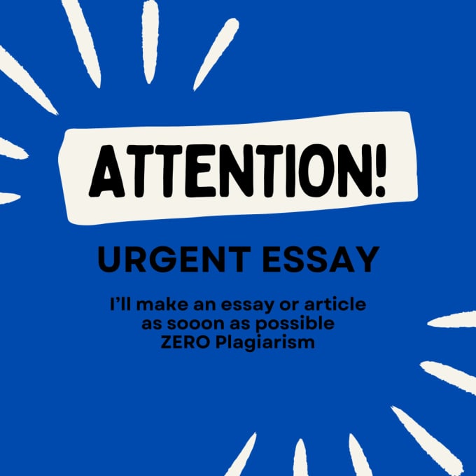 Gig Preview - Write urgent essay or article