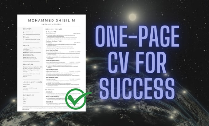 Gig Preview - Create optimized resume, CV that gets you hired