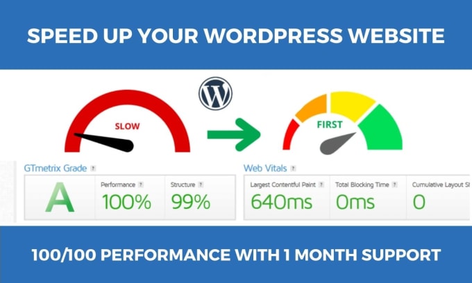 Gig Preview - Speed up wordpress website for google pagespeed insights or fix core web vitals