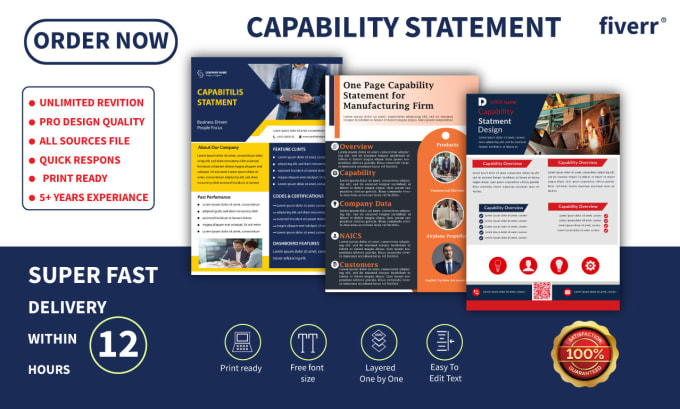 Gig Preview - Design a professional government capability statement