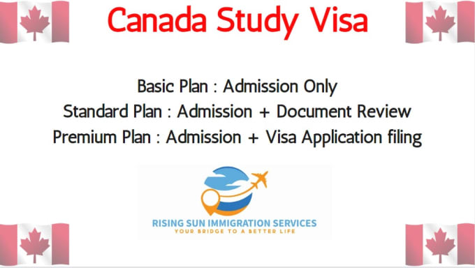 Gig Preview - Provide professional advice regarding your study visa application