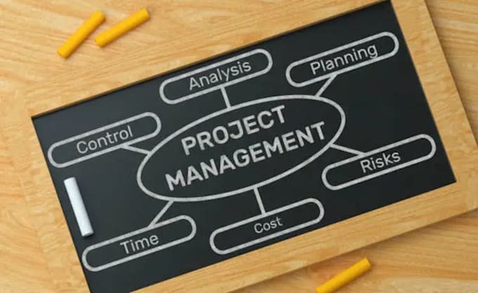 Gig Preview - Manage your project efficiently from start to finish