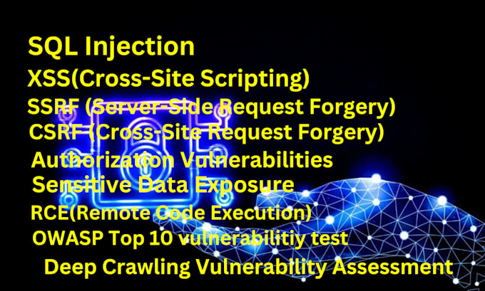 Gig Preview - Do manual penetration testing