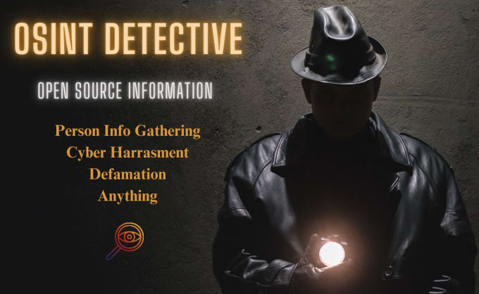 Gig Preview - Be your osint private investigator for online harassment background check