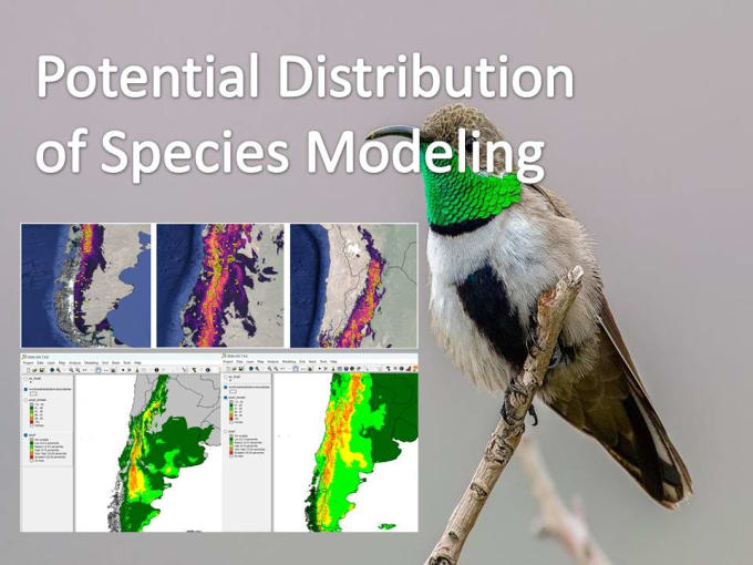 Gig Preview - Do a species distribution map via maxent and divagis