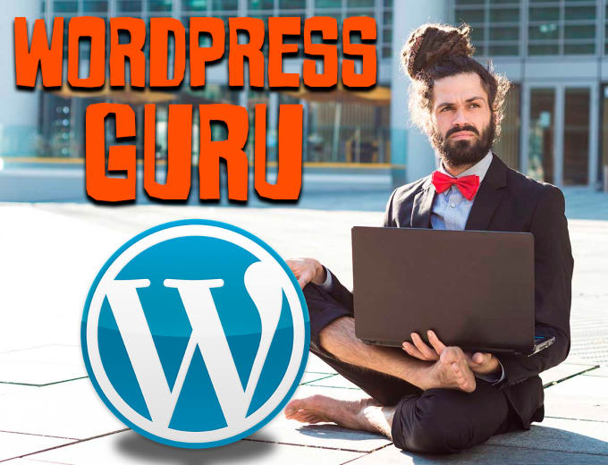 Gig Preview - Install wordpress  premium theme and plugins fix and transfer