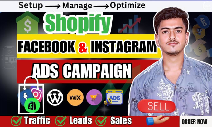 Gig Preview - Setup and manage shopify facebook ads instagram ads campaign