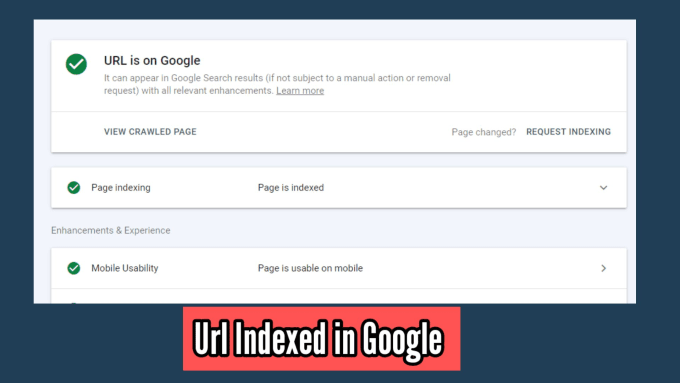 Gig Preview - Fix  indexing issues, search console errors, and do fast indexing in google